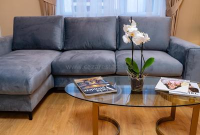 Apartament cu 3 camere decomandat, mobilat în Herăstrău - 3