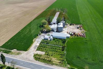 Spațiu industrial, de 5,000 mp, în Tișița - 8