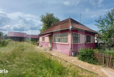 Casă cu 2 camere cu Teren 1760 Mp în Ozun - 5