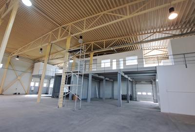 HALA DEPOZITARE CU ETAJ PARTIAL PENTRU BIROURI AMPLASAMENT: OTOPENI - 46