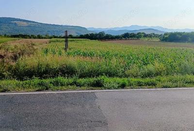 Teren de 8053 mp, în Mintia - 1