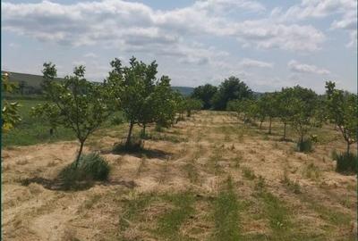 Spațiu comercial, în Docani - 6