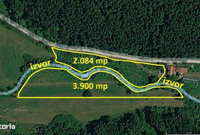 Teren de 6000 mp, în Vețel - 6