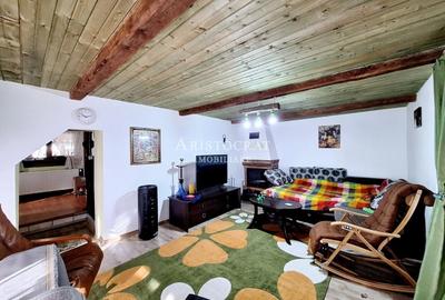 Vila individuala  teren mare Tamasi - 6