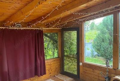 Casa de vanzare, Zona deosebita - 7