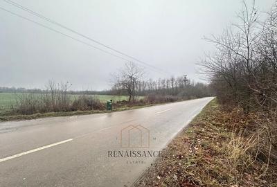 Giroc Teren 30.000mp PUZ APROBAT Pentru Case | Asfalt - Langa Padure - 2