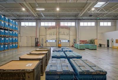 Hală industrială 5.000–12.000 mp de închiriat, Ghimbav - 21