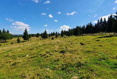 Teren Construcții de 1350 mp, în Beliș - 8