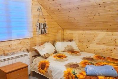 EXCLUSIV BLITZ !  Cabana in statiunea Muntele Baisorii - 15