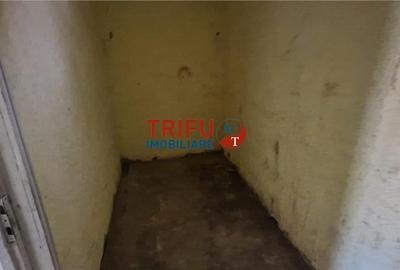 Casă de vânzare zona Cetate Schit 740 mp teren - 6