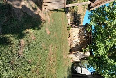 Casă cu 3 camere cu Teren 1600 Mp în Zau de Câmpie - 1