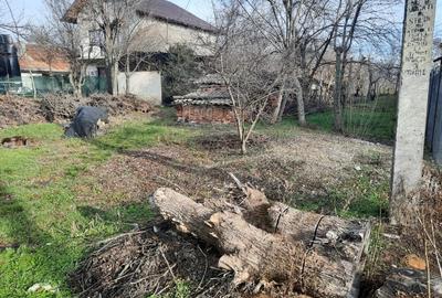 Teren în Mânăstioara - 6