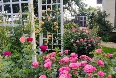 Casă de vânzare – Oază de liniște și culoare, la doar 18 km de București - 1