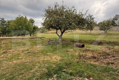 Casa etaj, 140 mp utili, 4800 mp teren, Adancata - 15