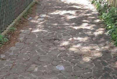 Casă cu 5 camere în Poiana Țapului - 5