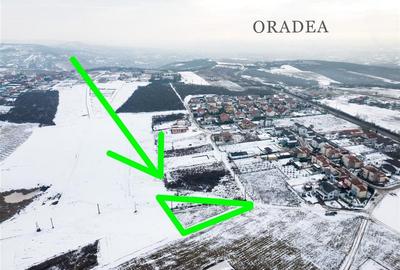 Teren intravilan de 553 mp, în Paleu - 2