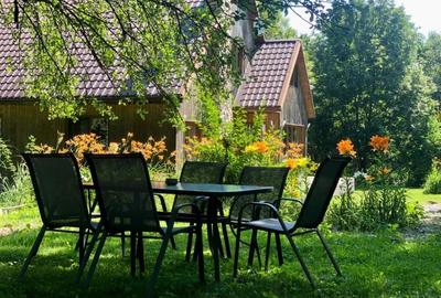 Casă cu 4 camere cu Teren 2800 Mp în Borzești - 6