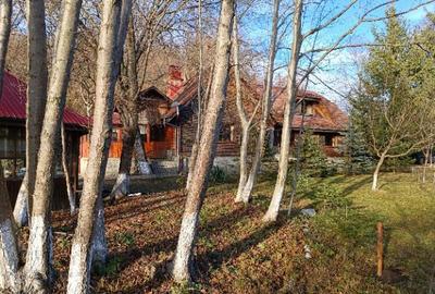 Proprietate deosebita,pe malul Teleajenului, de vanzare - 2