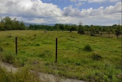 Teren 5000 mp, cu utilita?i, in comuna Crasna - 1