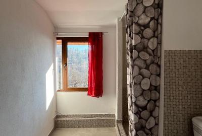 Garsonieră nedecomandată în Drumul Poienii - 3