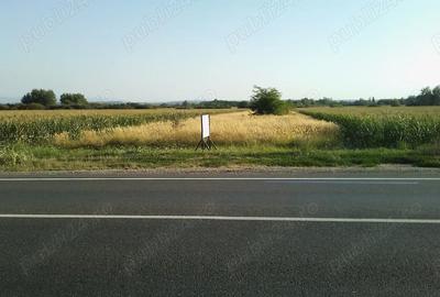 Teren de 5800 mp, în Jena - 5