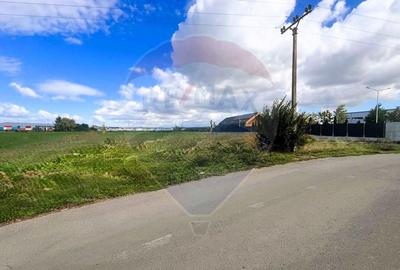 Teren Construcții intravilan de 8500 mp, în Griviței - 4