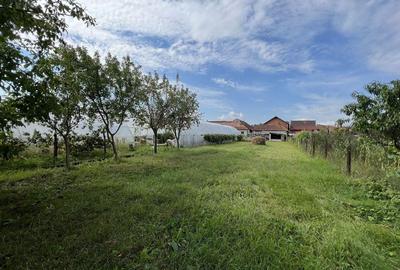 Casa cu 5 camere in Totoreni langa Beius - 4