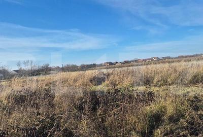 Teren intravilan de vanzare, 1900 mp, in Odoreu - 2