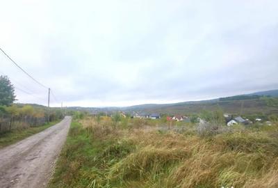 Teren de 1500 mp, în Bârnova - 7