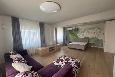 Casa frumoasa 7 camere, Iancu Nicolae - 8