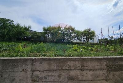 Casă individuală cu 12 camere cu Canalizare în Sfântu Ilie - 56