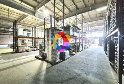 Hala de inchiriat Brașov - 455 mp plus-imo.ro - 3