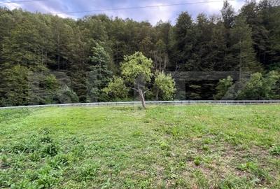 Casa 100 mp utili 4 camere 1,6 ha teren aproape de Trans Apuseana - 5