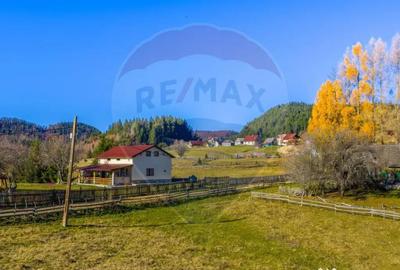 Teren de 13800 mp, în Fundățica - 8