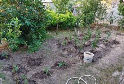 Casă cu 1 camere cu Teren 300 Mp în Cosâmbești - 7