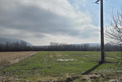 Teren de 3000 mp, în Sântămăria-Orlea - 2
