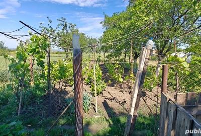 Casă cu 4 camere cu Teren 1000 Mp în Mărăcineni - 14