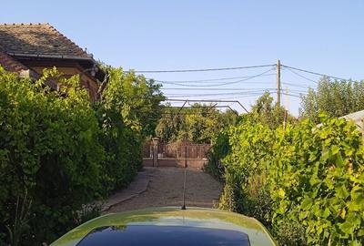 Casa comuna Giubega 45km craiova - 2
