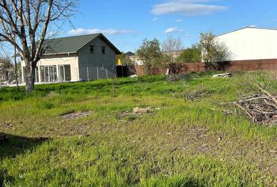 Spațiu comercial, în Modelu - 1