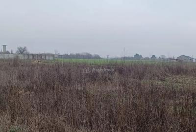 Teren de 1860 mp, în Corbeanca - 7