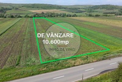 Teren de 10670 mp, în Borșa - 1