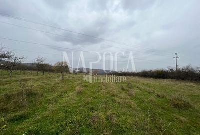 Teren Construcții intravilan de 2097 mp, în Feleacu - 3