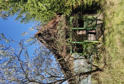 Vand casa de vacanta de 70 mp pe un teren de 1572 mp in Campul Cetatii la intrare in sat,langa sosea - 8