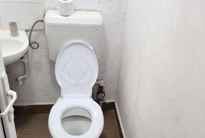 Proprietate specială, de 200 mp, în Mureșeni - 3