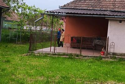 Casă cu 3 camere cu Teren 2500 Mp în Tău - 6