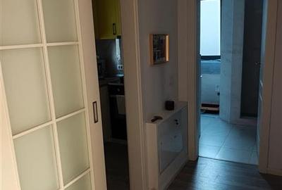 Apartament 2 camere mobilat si utilat Str. Pepinierei - 7