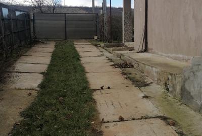 Tomesti - Osoi, vila cu spatiu comercial la parter , 2400mp teren cu iaz si pomi - 5