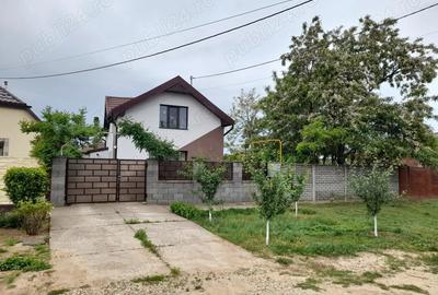 Vand casa Peciu Nou - 3