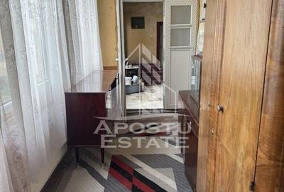 Casă individuală cu 5 camere cu Teren 3383 Mp în Remetea Mare - 9