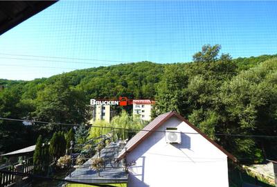 LOCUINTA TA DE VIS IN PADUREA NEAGRA - 23